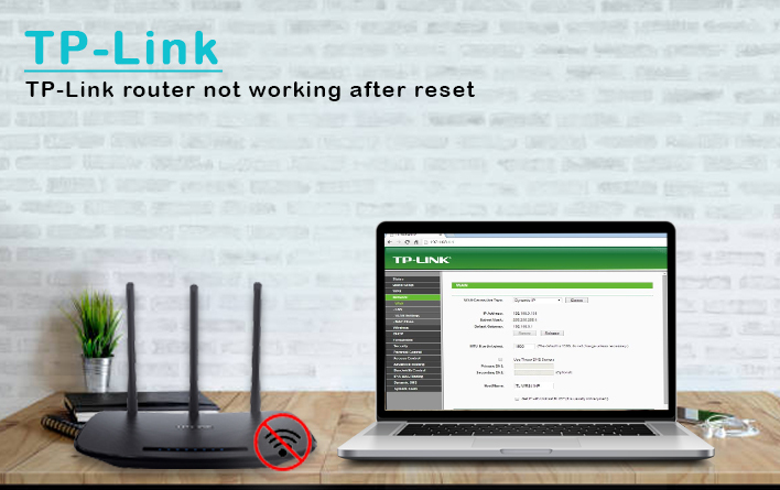 TP-Link router not working after reset